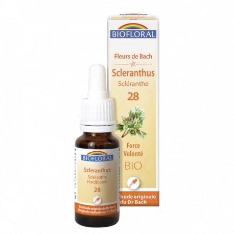 FDB 28 SCLERANTHUS 20ML