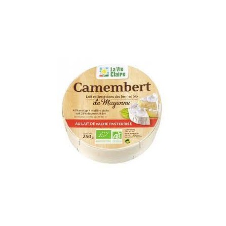 CAMEMBERT 45% MG