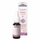 FDB 08 CHICORY 20ML