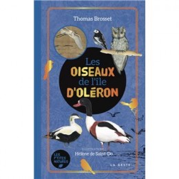 LES OISEAUX DE L'ILE D'OLERON