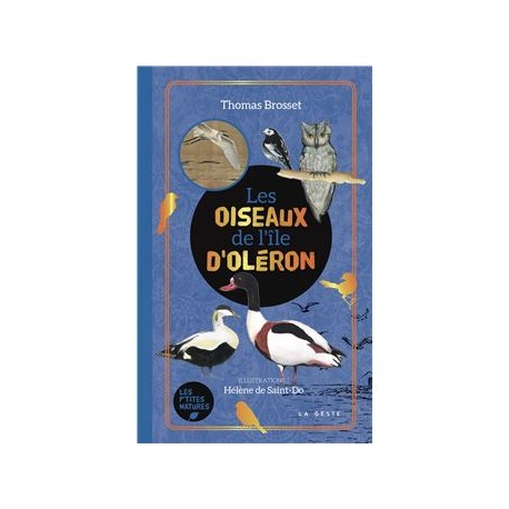 LES OISEAUX DE L'ILE D'OLERON