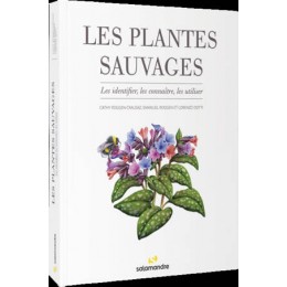 LES PLANTES SAUVAGES