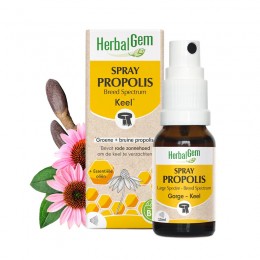 SPRAY PROPOLIS